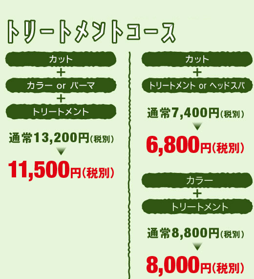 初めてヘミングをご利用のお客様〈トリートメントコース〉